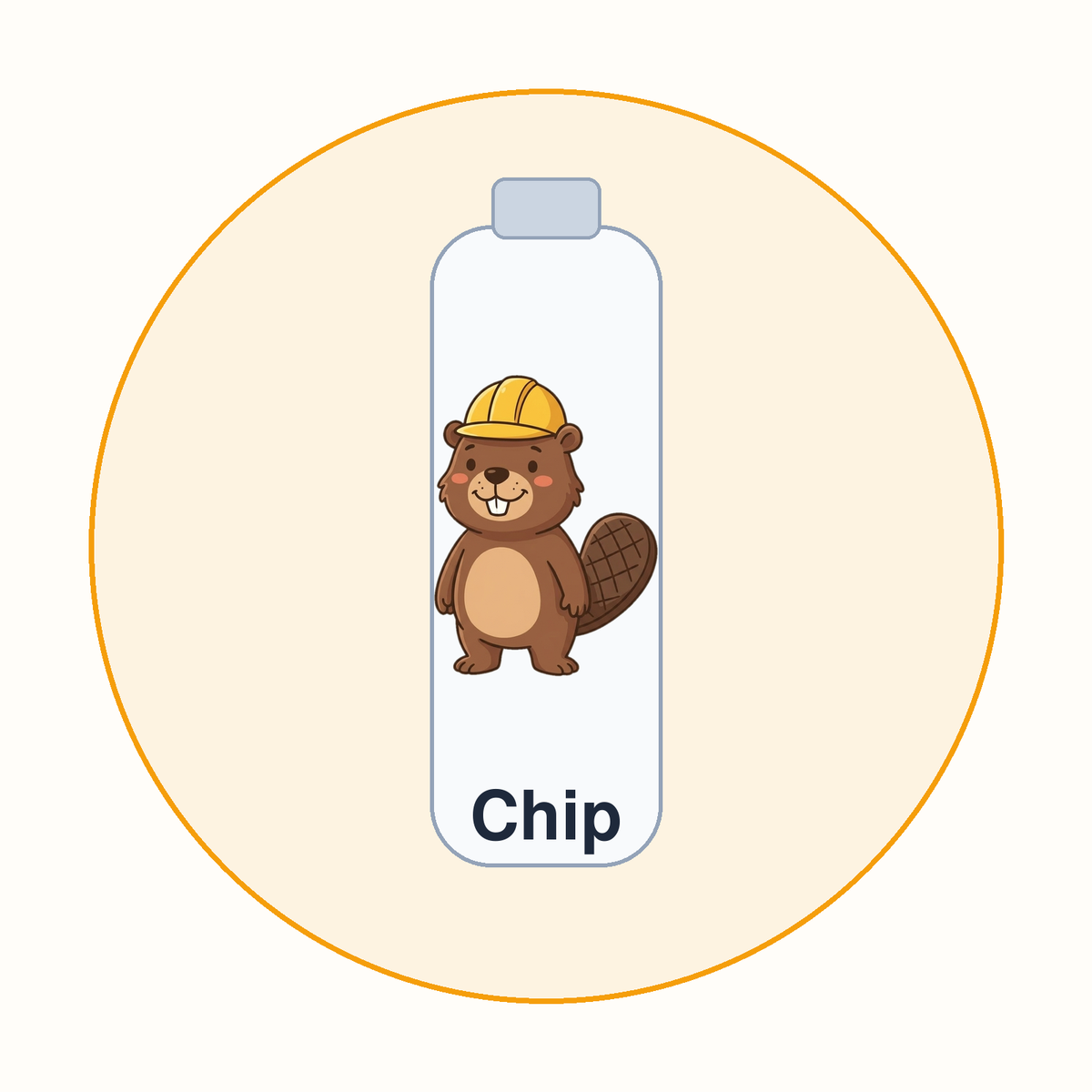 Chip Kids Water Bottle (17 oz)